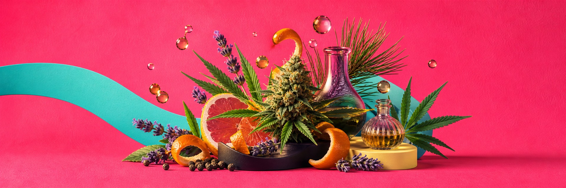 Terpenos en productos CBD: por qué influyen en la experiencia aromática