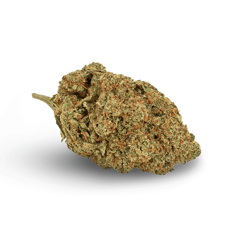 Amnesia Haze - Flor CBD Premium | KEMA CBD