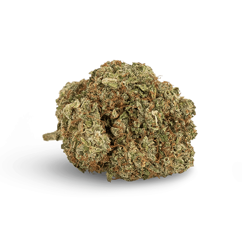 Blueberry Muffin - Flor CBD Premium | KEMA CBD