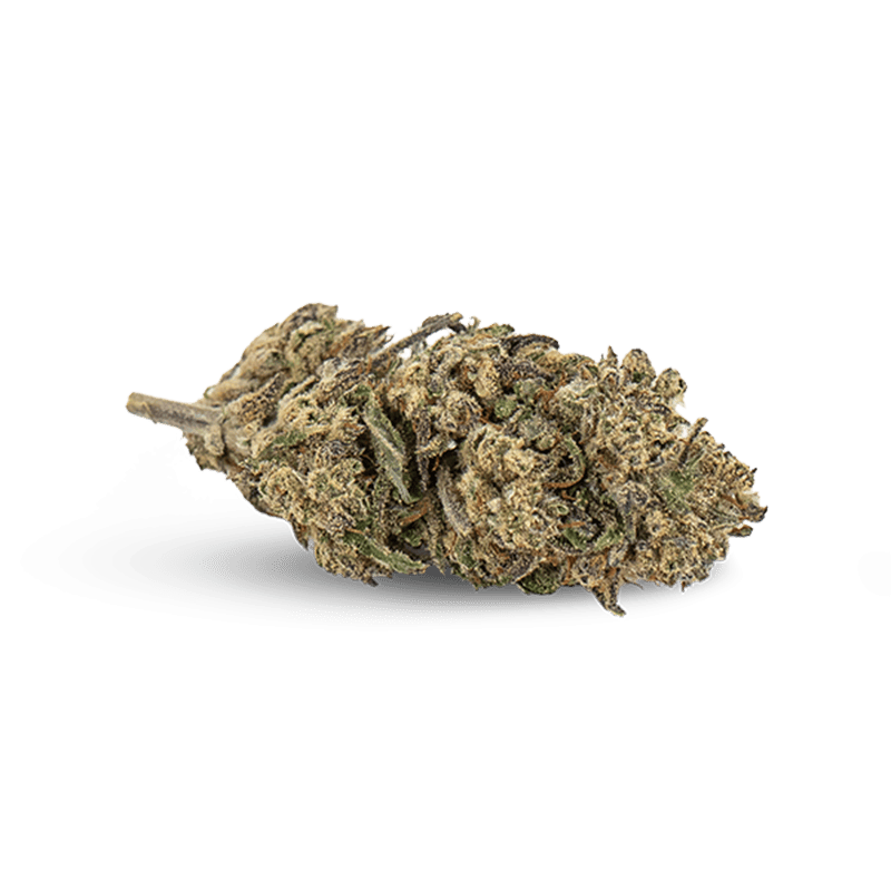 Plutonium - Flor CBD Premium | KEMA CBD